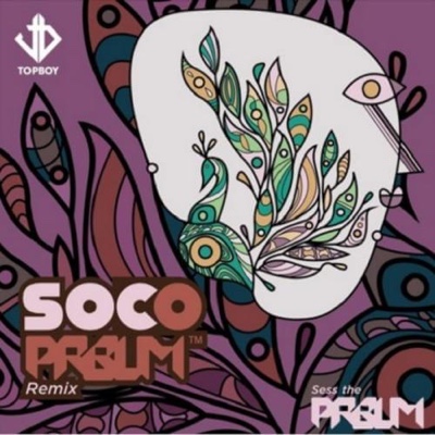 New Music: Sess x Wizkid – Soco (Prblm Remix)