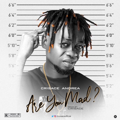 New Music: Crisace Andrea - Are You Mad?